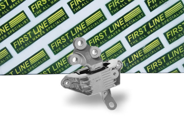 First Line FEM4293