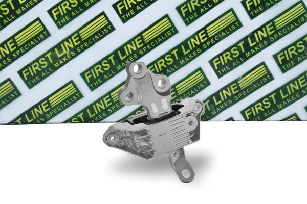 First Line FEM4294