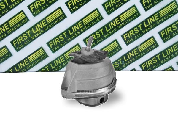 First Line FEM4317