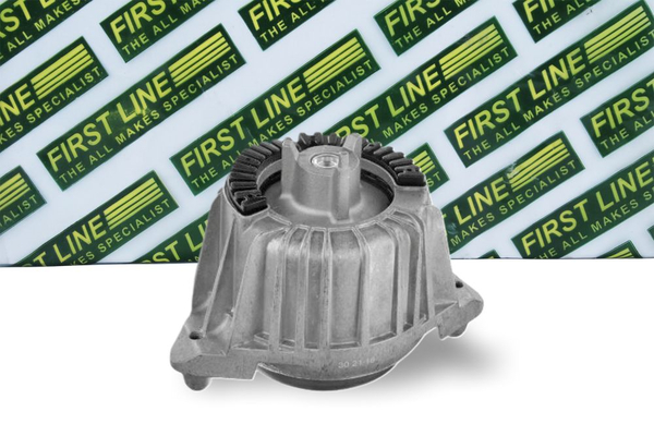 First Line FEM4366