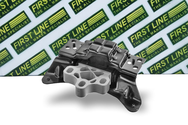 First Line FEM4371