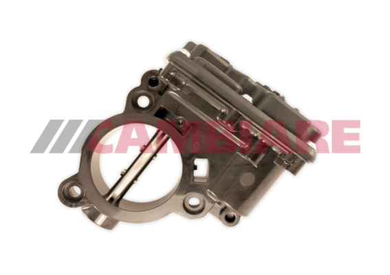 Cambiare VE387171 Throttle Body