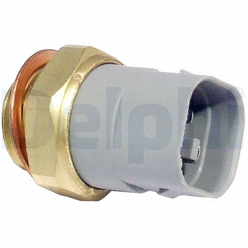 Delphi TS10291