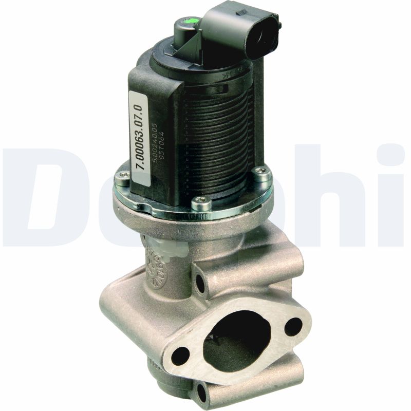 Delphi EG10259-12B1 EGR Valve