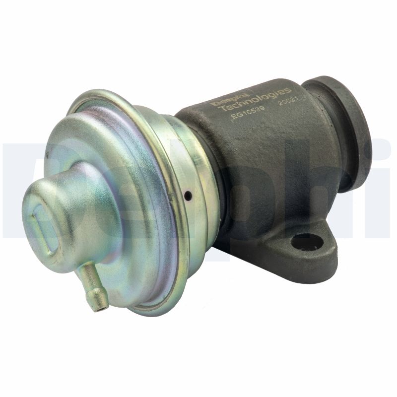 Delphi EG10539-12B1