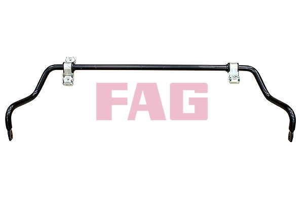 FAG 818001110