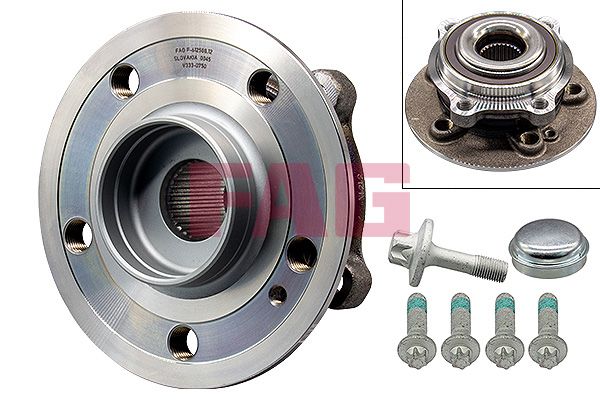 FAG 713668360 Wheel Bearing Kit