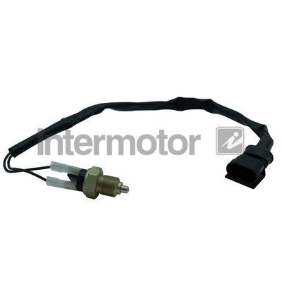 Intermotor 54313