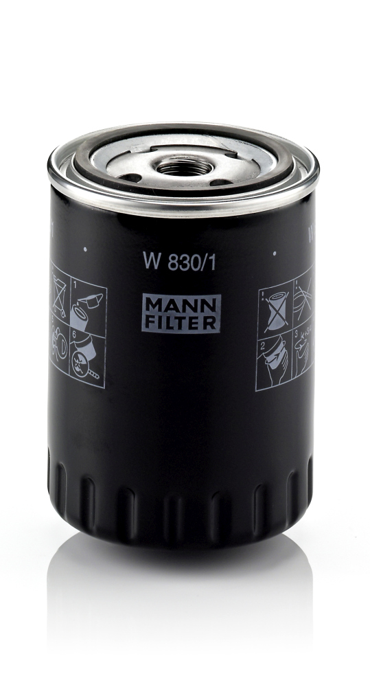 Mann W830/1