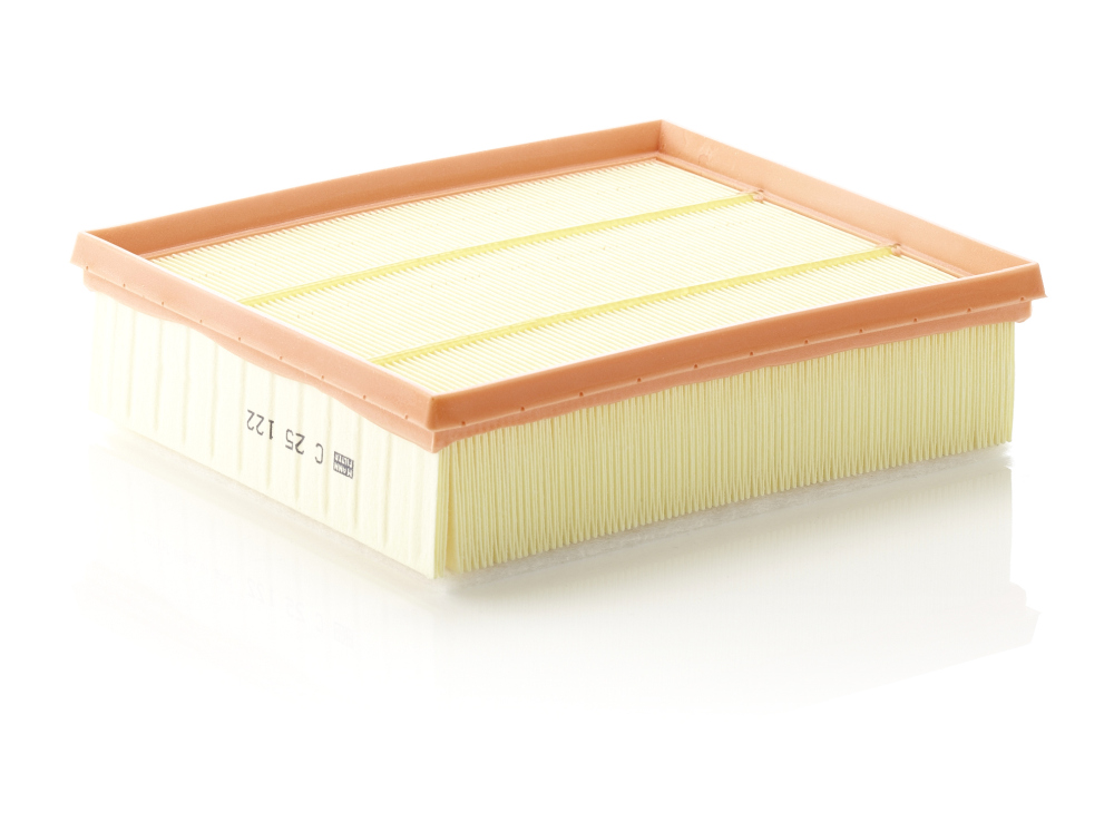 Mann C25122 Air Filter