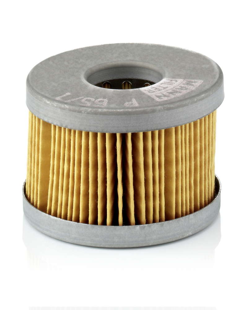Mann P65/1X Fuel Filter