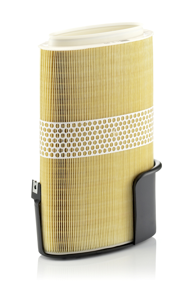 Mann C31002
