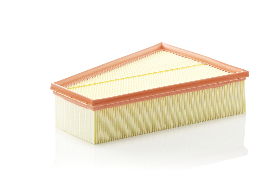 Mann C30161 Air Filter