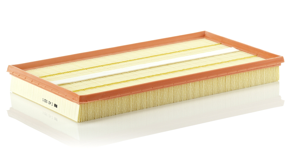 Mann C42192/1 Air Filter