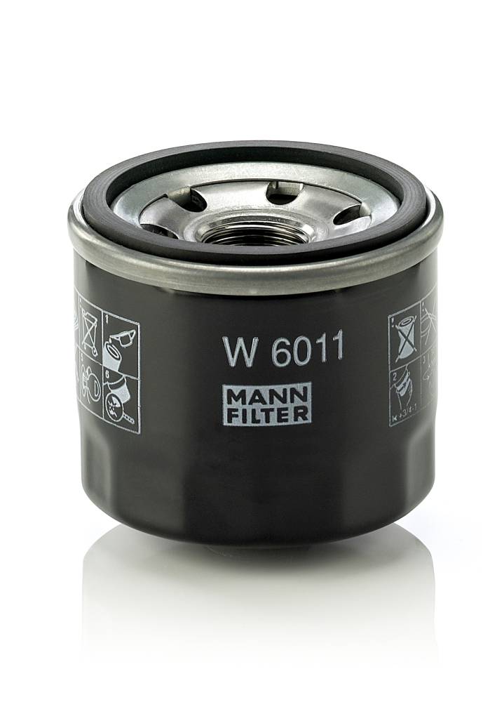 Mann W6011