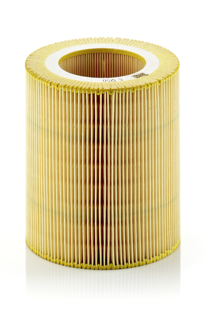 Mann C1250 Air Filter