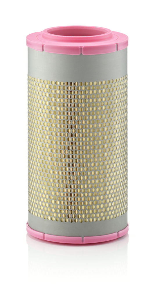Mann C22580/1 Air Filter