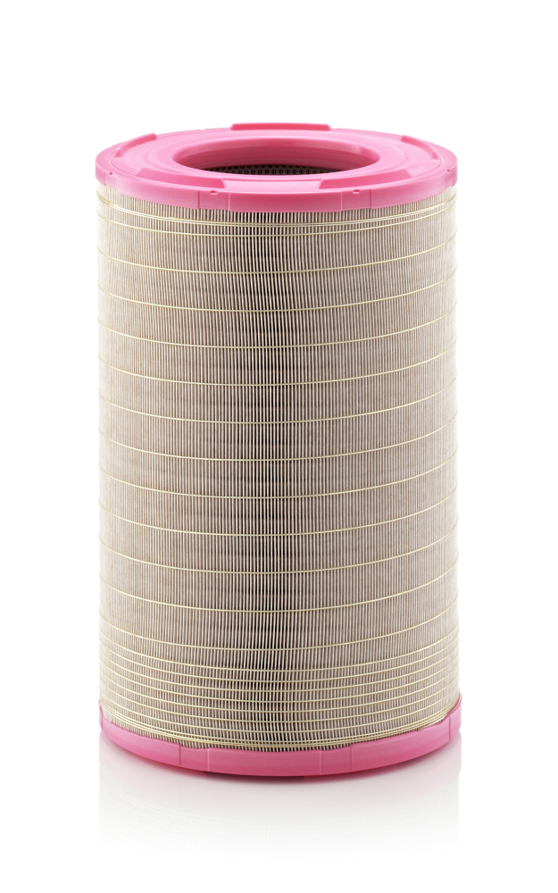 Mann C301353 Air Filter