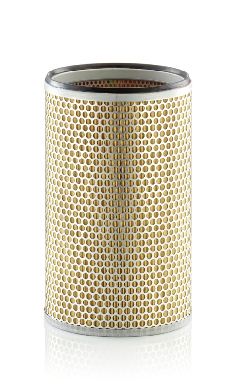 Mann C20118 Secondary Air Filter