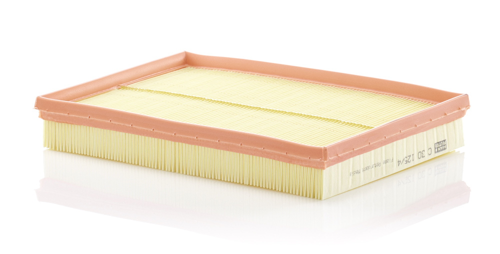 Mann C30125/4 Air Filter