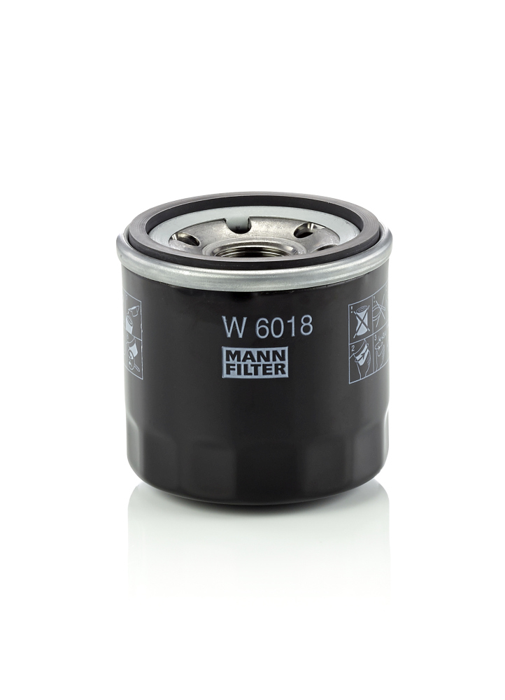 Mann W6018