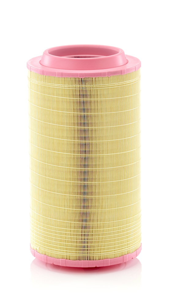 Mann C25990/1 Air Filter