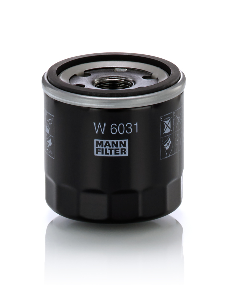Mann W6031