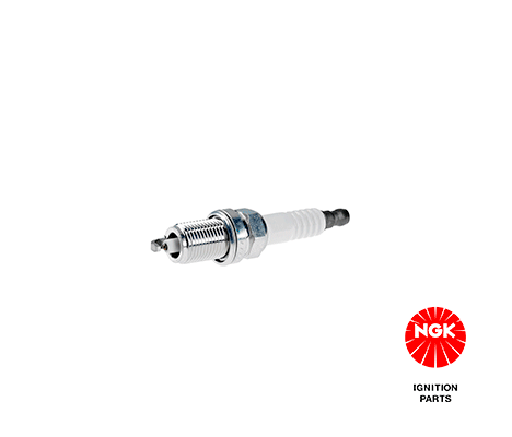 NGK 4095