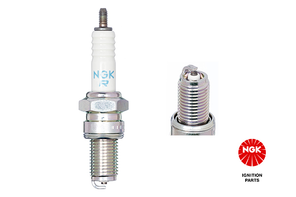 NGK 3123