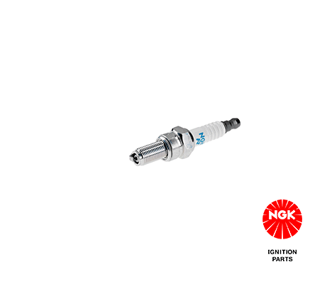 NGK 6955