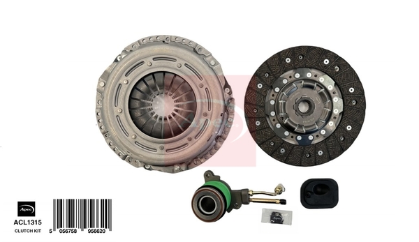 25503441