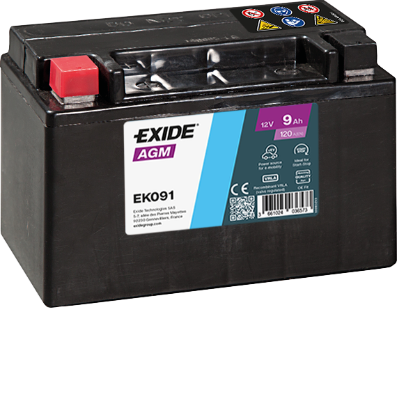 Exide EK091 AGM Auxiliary Battery
