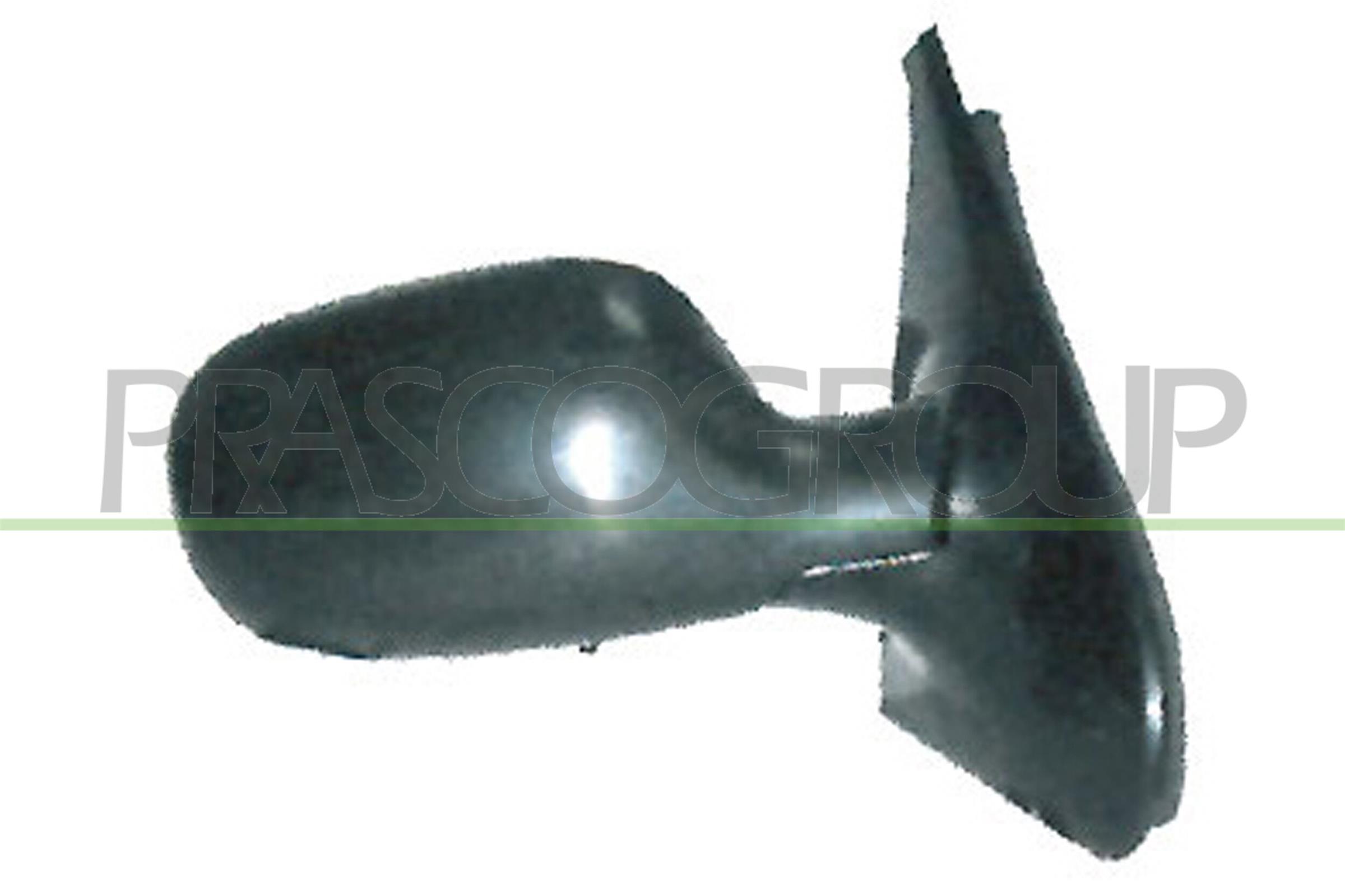 Prasco RN3227113 Door / Wing Mirror RH