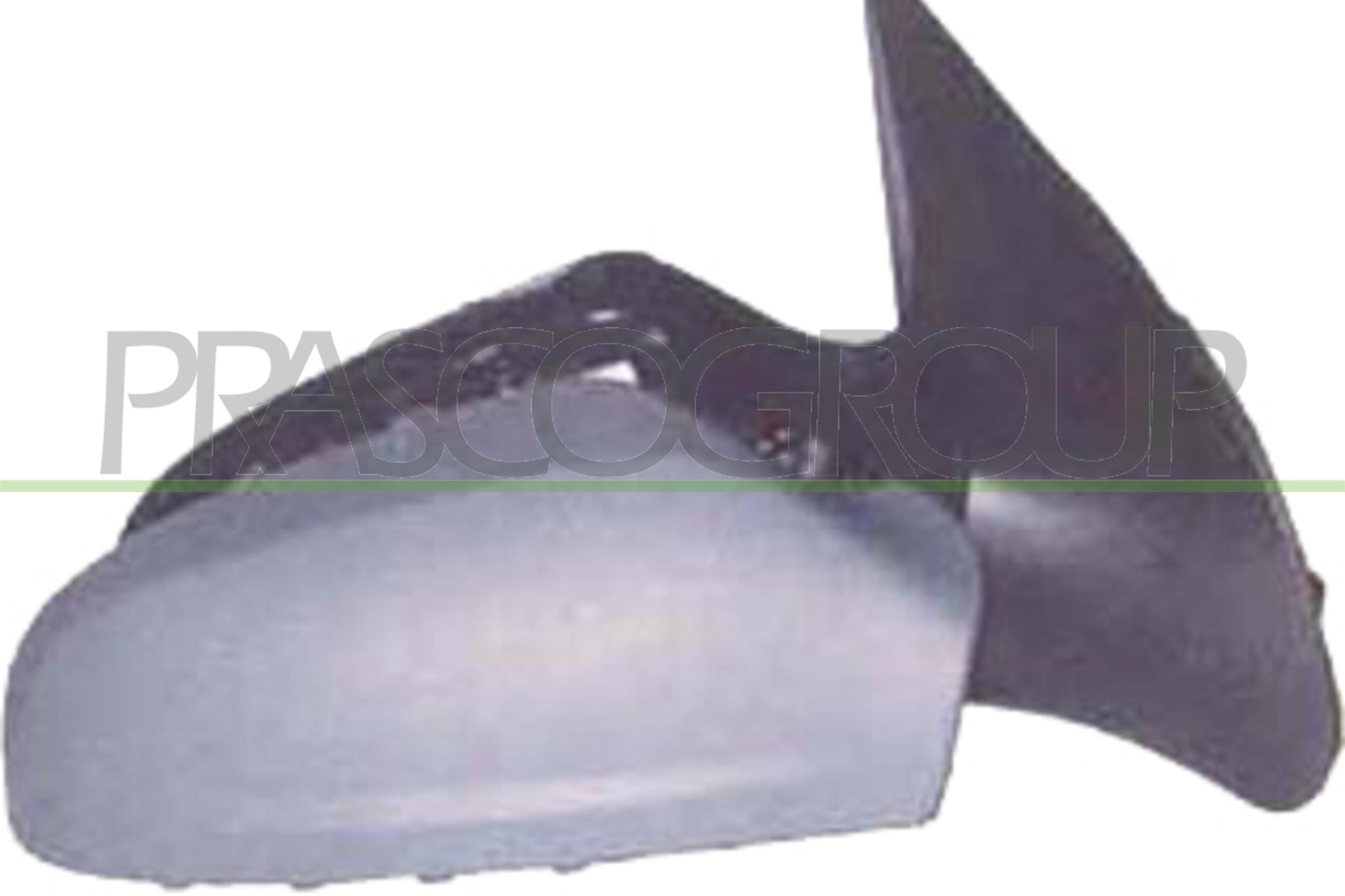 Prasco OP4107123 Door / Wing Mirror RH