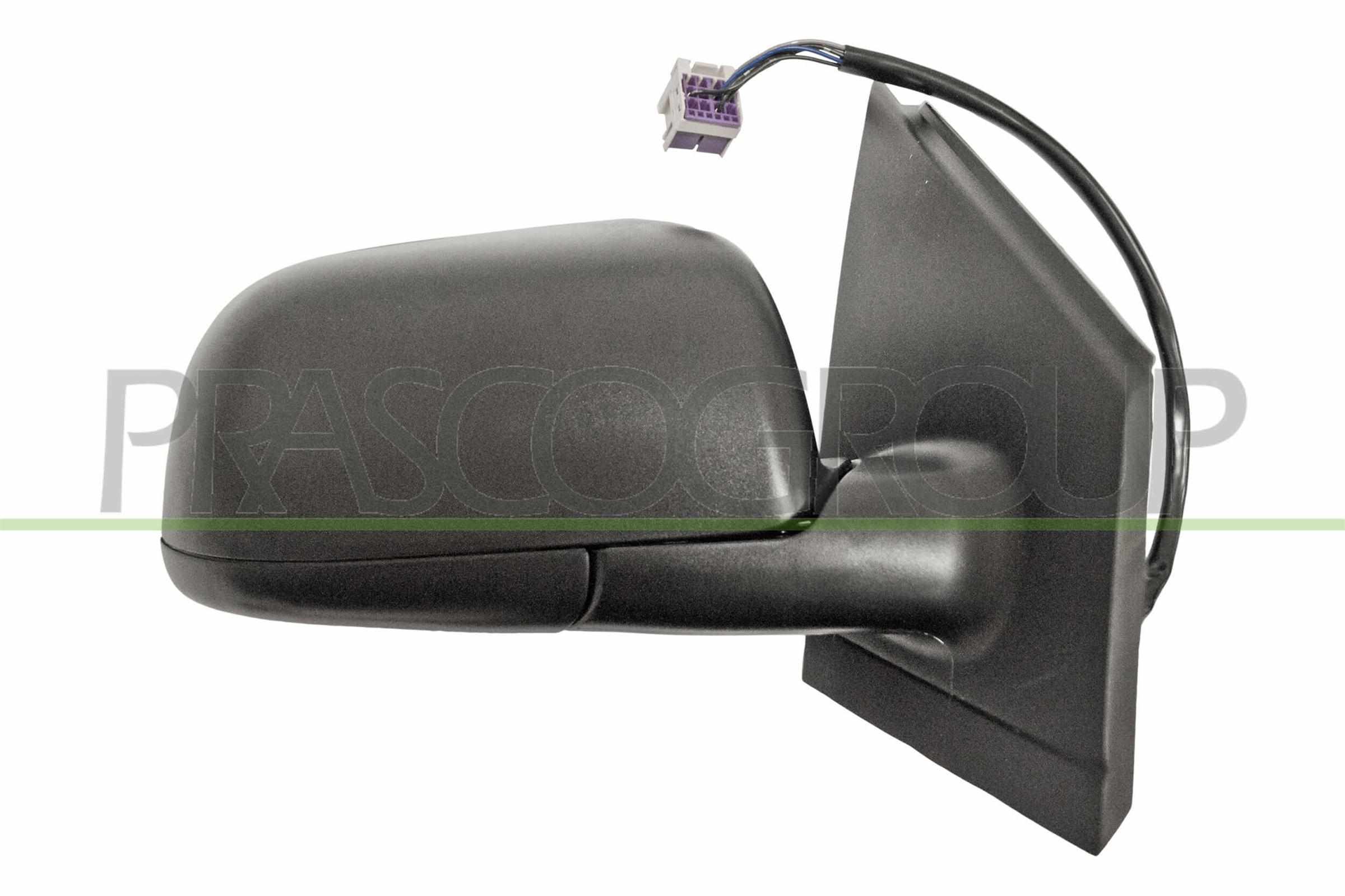 Prasco VG0217313