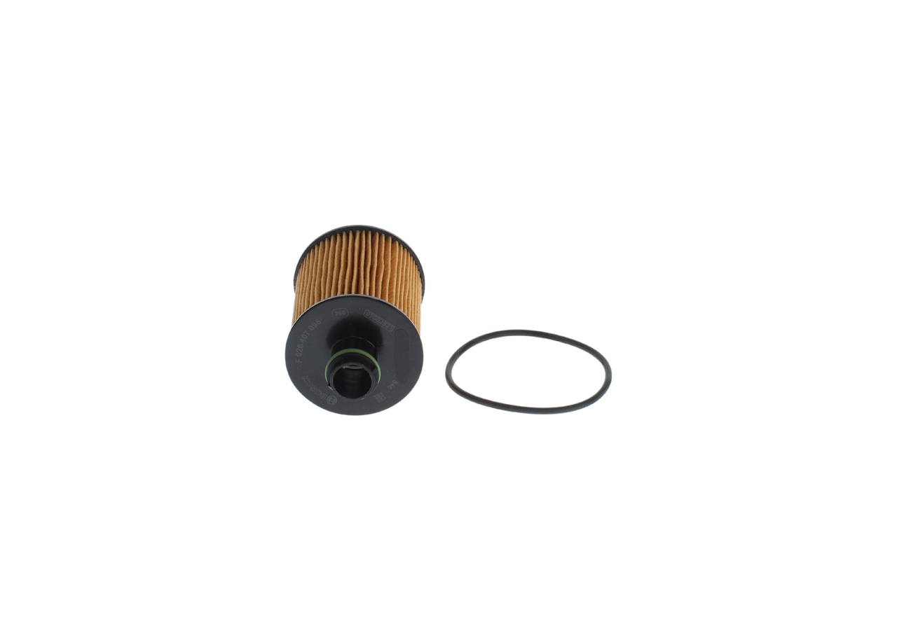 Bosch F026407095