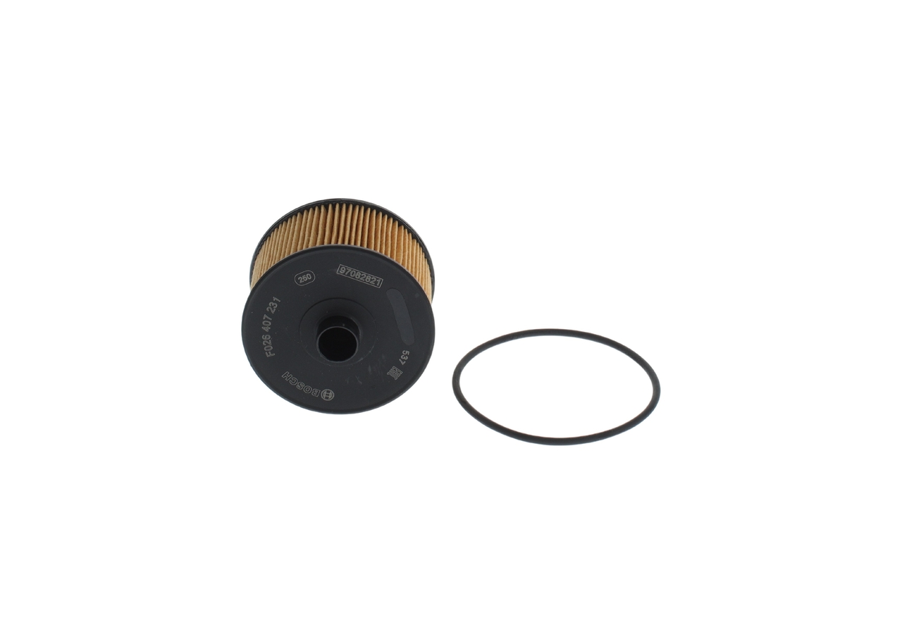Bosch F026407231