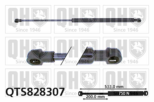 Quinton Hazell QTS828307