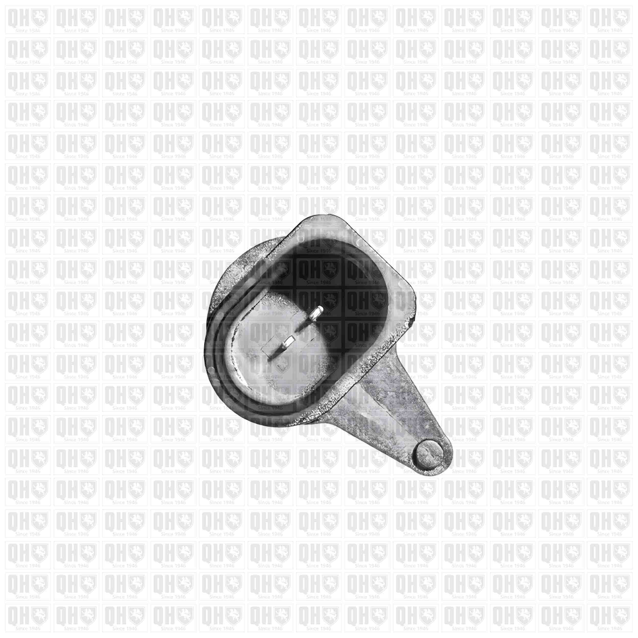 Quinton Hazell BWI1342