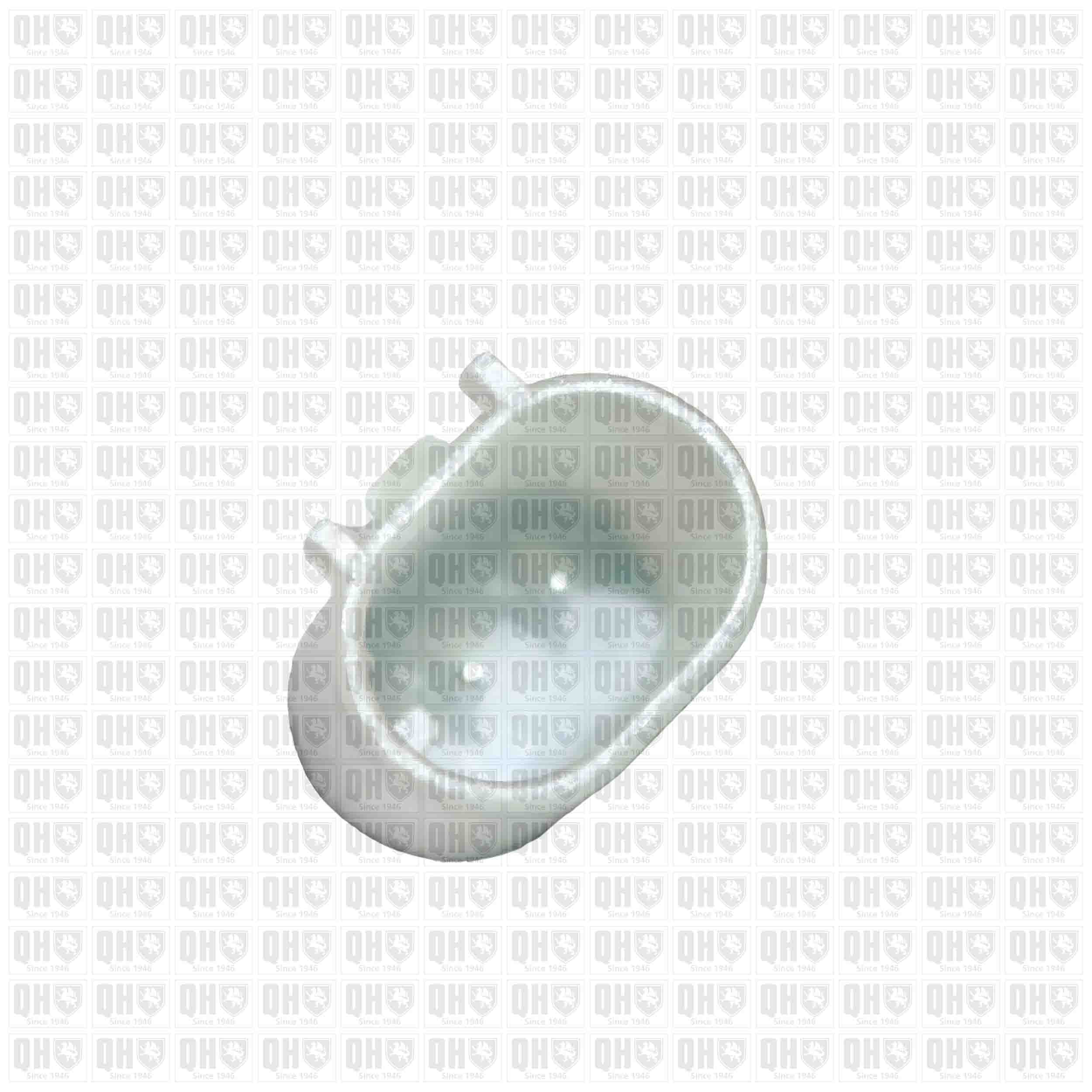 Quinton Hazell BWI1347