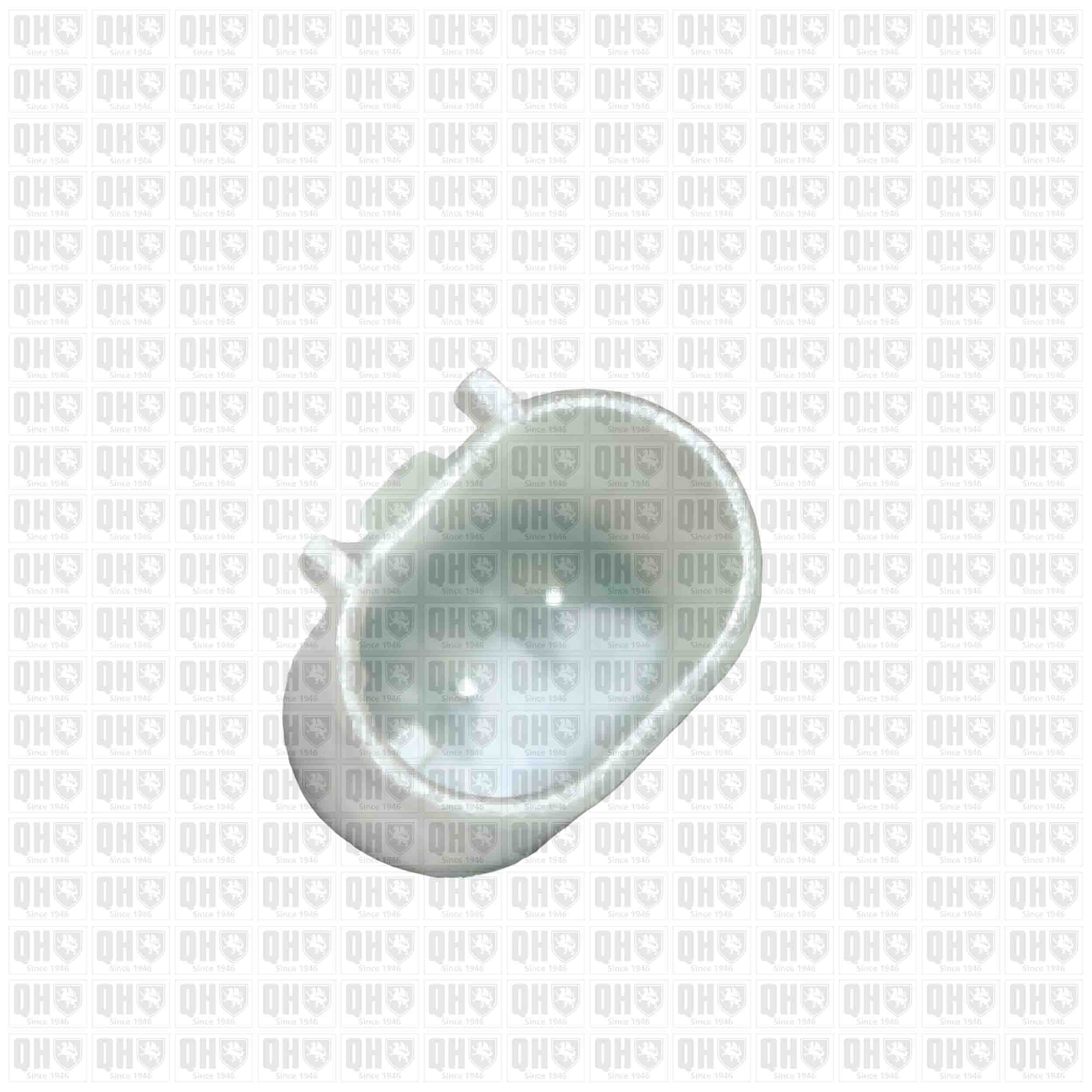 Quinton Hazell BWI1348