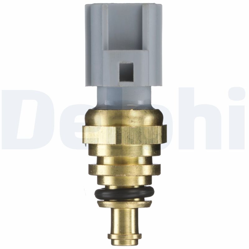 Delphi TS10329