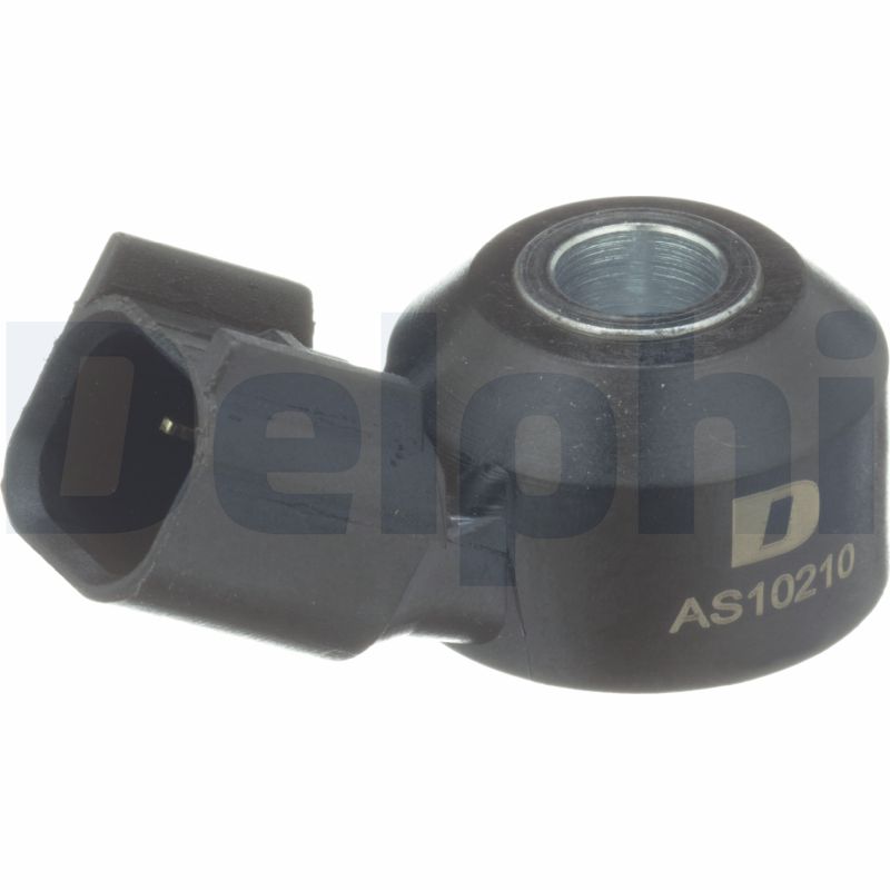 Delphi AS10210