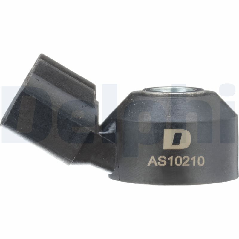 Delphi AS10210