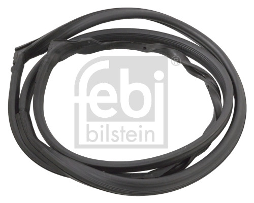 Febi 01960 Door Seal (Rear Lh)