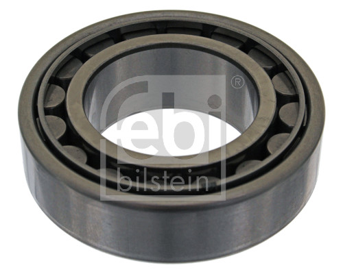 Febi 04843 Wheel Bearing
