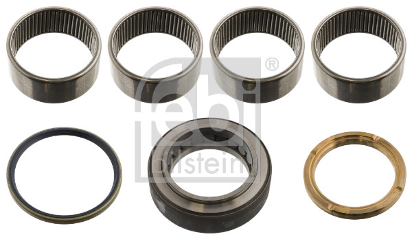 Febi 15856 CV Kingpin kit