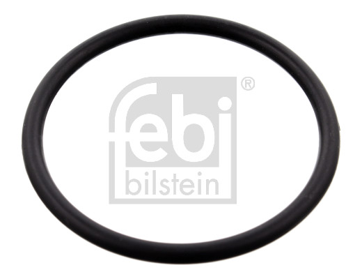 Febi 100077 Thermostat Gasket