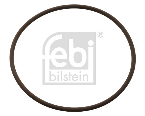 Febi 104848 Seal Ring, coolant pipe