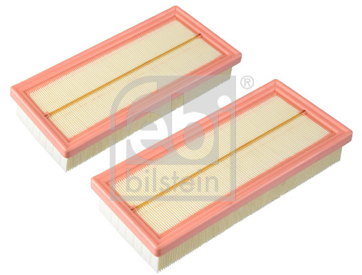 Febi 174038 Air Filter